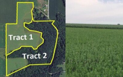 62.3 Acres Two Tracts