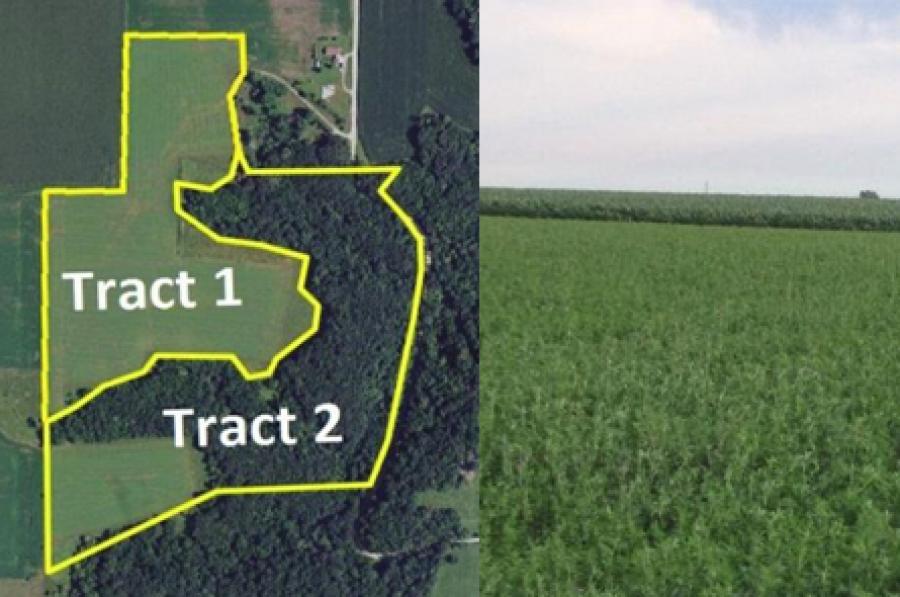 62.3 Acres Two Tracts