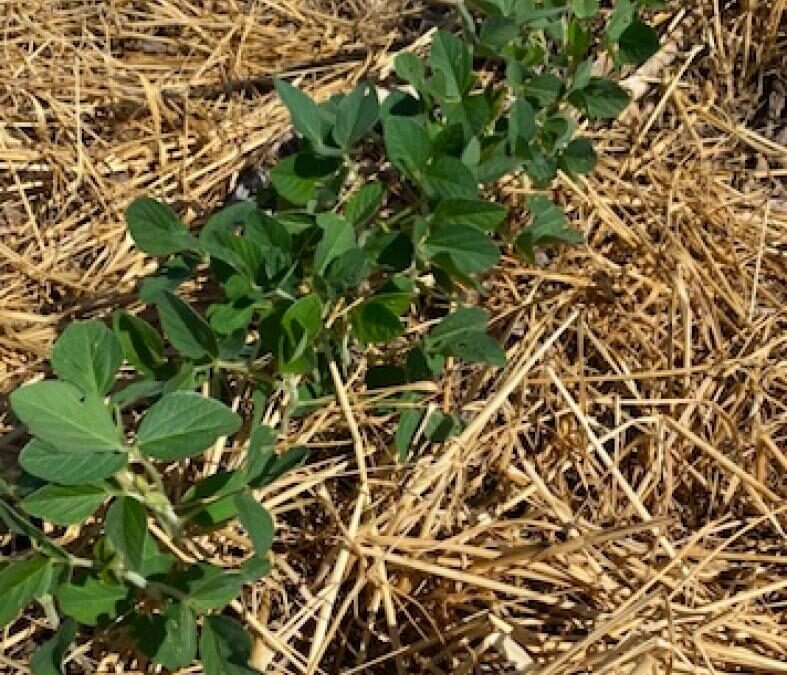 Change is a Great Thing