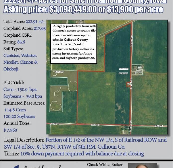 SOLD: 223 Acres in Calhoun County